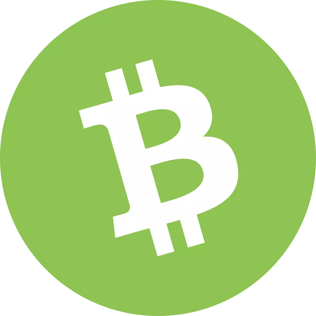 pay with bticoin cash